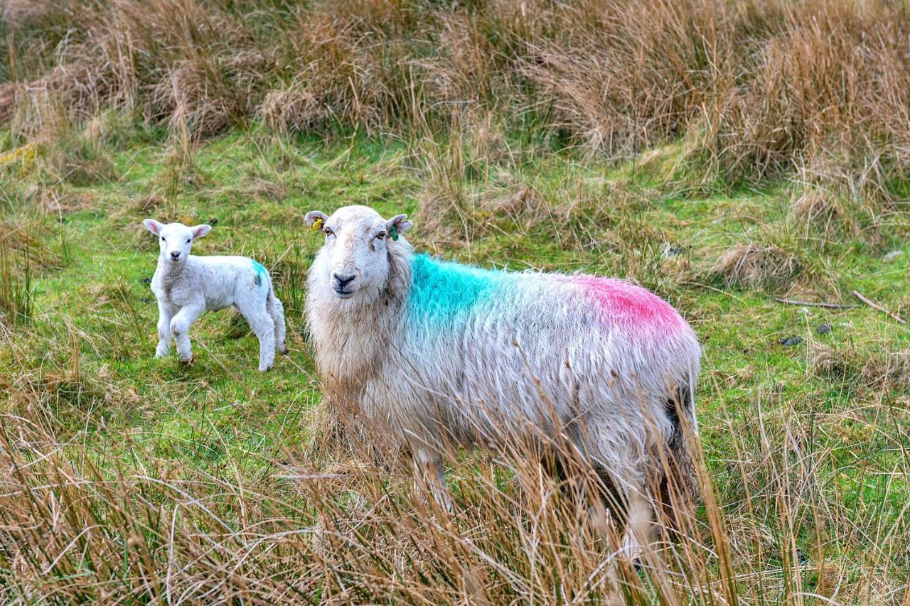 Finest Retreats - Maes Neuadd Blaenau Ffestiniog Zewnętrze zdjęcie